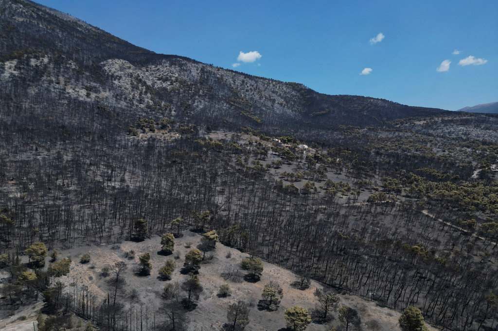 An aerial view shows burned forest after a wildfire near Porto Germeno, northwest of Athens, Greece, Tuesday, Aug. 4, 2026. (AP Photo/Petros Giannakouris)