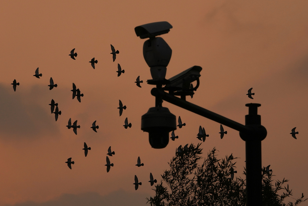 Pigeons fly past security surveillance cameras during sunset in Beijing, Friday, Jan. 31, 2025. (AP Photo/Andy Wong)