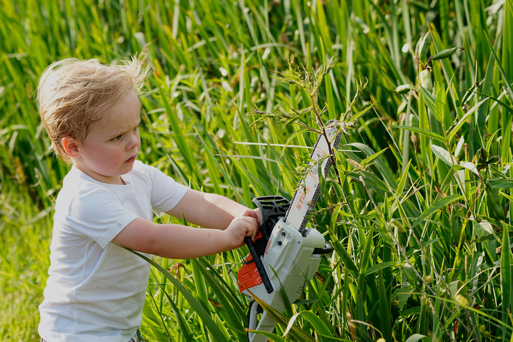 Zeb Pedersen, 2, attempts to cut weeds with a toy chainsaw during the Lumberjack World Championships, Friday, July 17, 2026, in Hayward, Wis. (AP Photo/Ellen Schmidt)