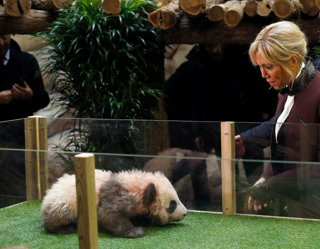 FILE - French First lady Brigitte Macron attends a naming ceremony of the panda born at the Beauval Zoo, in Saint-Aignan-sur-Cher, France, on Dec. 4, 2017. (AP Photo/Thibault Camus, Pool, File)