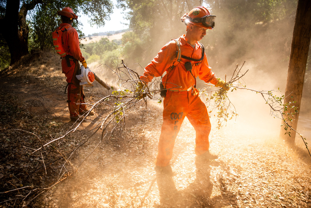 Pine Grove Youth Conservation Camp inmates clear brush along a road, July 14, 2025, near Red Corral, Calif. (AP Photo/Ethan Swope)