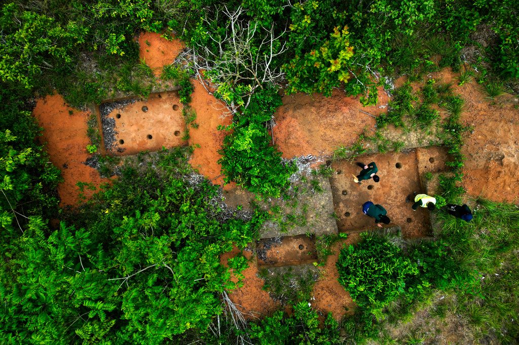 Archaeologists conduct a technical visit at the Quintela site in the Vila Nova community along the BR-156 highway in Santana, Amapa state, Brazil, Saturday, March 14, 2026. (AP Photo/Eraldo Peres)