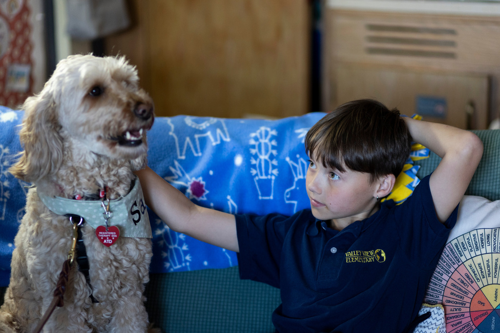 Fifth grader Miles pets Sage, a therapy dog, in the social workers' office at Valley View Elementary School on April 29, 2026, in Columbia Heights, Minn. (Ellen Schmidt/MinnPost via AP)