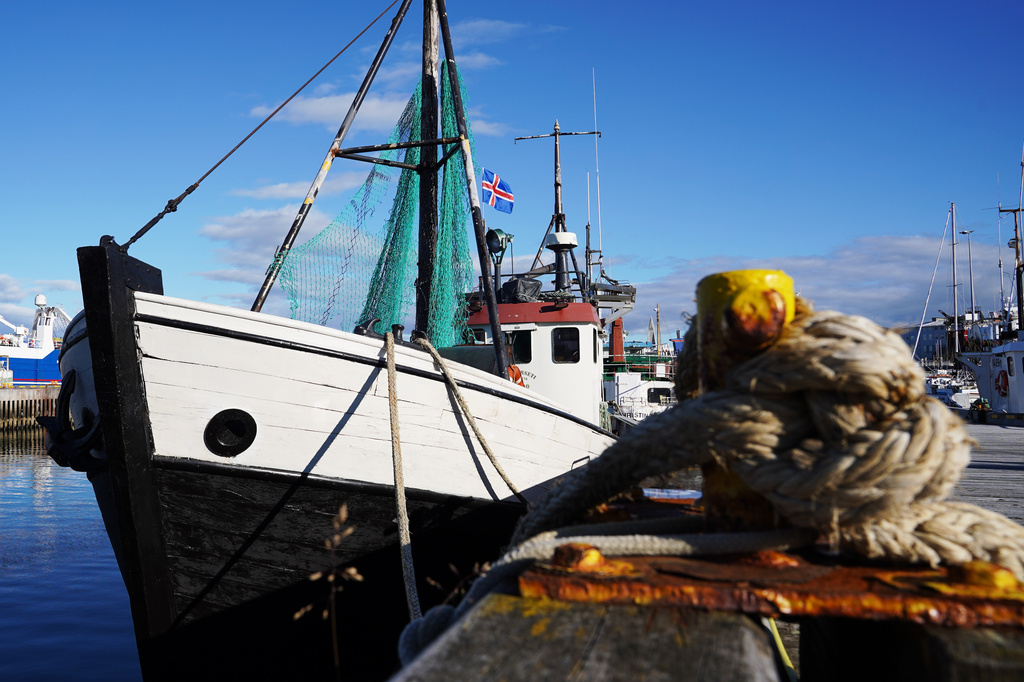 A fishing boat moored at Reykjavik Harbor in Reykjavik, Iceland, Sunday, Aug. 9, 2026. (AP Photo/James Brooks)