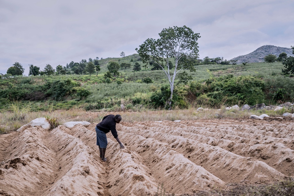 FILE - Feluzi Makono stands on his grandmother's farm that was destroyed by Cyclone Freddy in Mulanje, southern Malawi, July 29, 2025. (AP Photo/Thoko Chikondi, File)