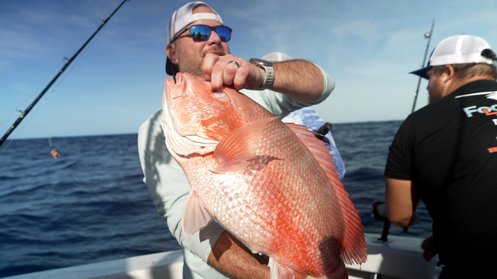 Chris Kemp holds up a red snapper he caught on the charter boat Jodie Lynn II, before releasing it back into the water miles off the coast of St. Augustine, Fla., on May 22, 2026. (AP Photo/Shelby Lum)