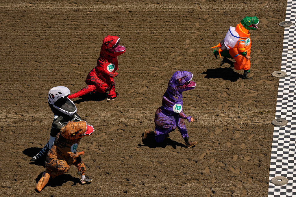 Participants in the preliminary heats approach the finish line during the T-Rex World Championship Races at Emerald Downs, Sunday, July 12, 2026, in Auburn, Wash. (AP Photo/Lindsey Wasson)