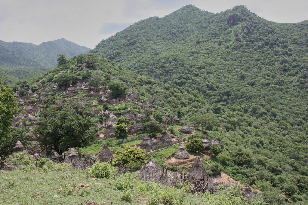 A view of the village of Lohobohobo, in South Sudan, Thursday, July 24, 2025. (AP Photo/Joseph Falzetta)
