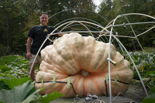 Tony Scott stands with the pumpkin he grew in his Wappingers Falls, N.Y., backyard on Sept. 17, 2025. (AP Photo/Shelby Lum) Tony Scott stands with the pumpkin he grew in his Wappingers Falls, N.Y., backyard on Sept. 17, 2025. (AP Photo/Shelby Lum)