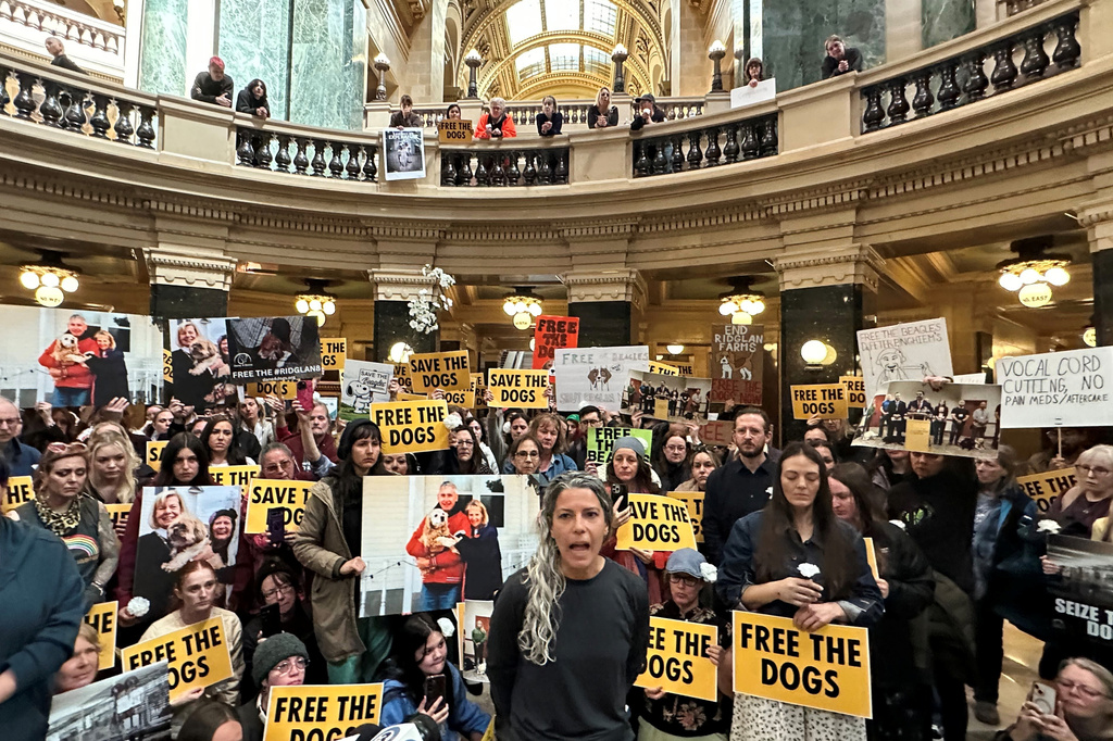 Animal rights activists converge at the Wisconsin State Capitol to demand that the governor and attorney general do what they can to shut down a beagle breeding and research facility, Monday, April 20, 2026, in Madison, Wis. (AP Photo/Scott Bauer)