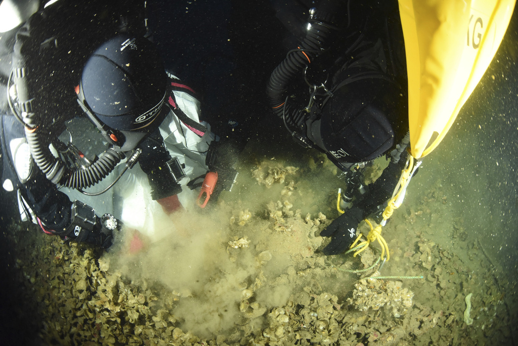 In this undated photo provided by the Greek Culture Ministry on Monday, Sept. 15, 2025, divers carefully sift to recover objects from the wreck site of the Britannic, sister ship to the Titanic, for the first time since the ocean liner sank in the Aegean Sea more than a century ago after striking a mine during World War I. (Greek Culture Ministry via AP)