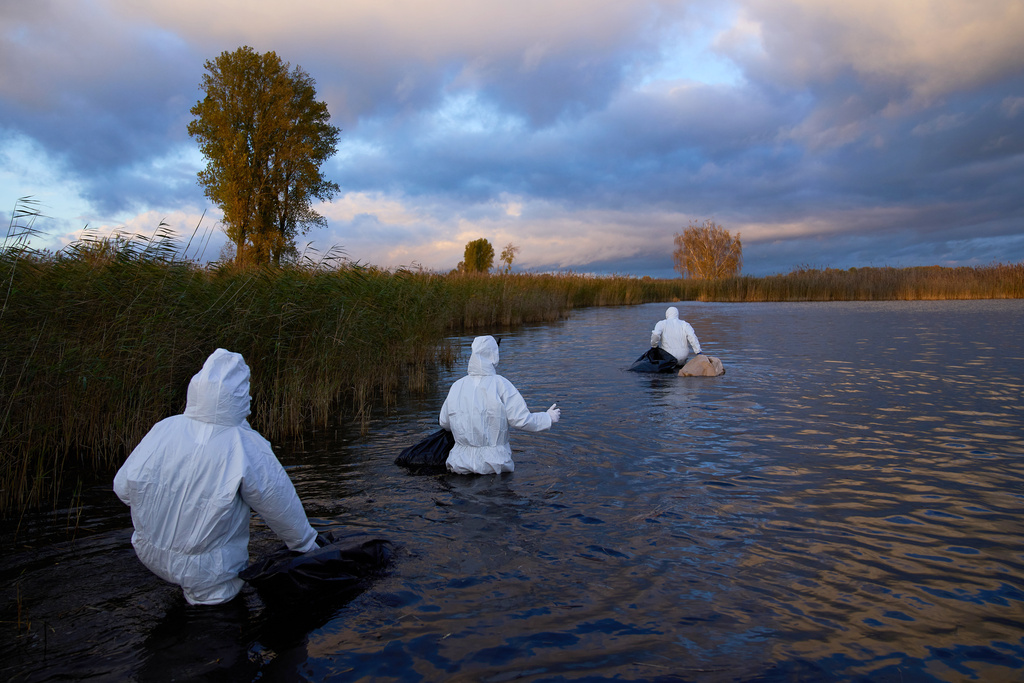 Environmental workers collect the bodies of birds that have died from bird flu in a lake in Linum, Brandenburg, Germany, Monday, Oct. 27, 2025. (AP Photo/Ebrahim Noroozi)