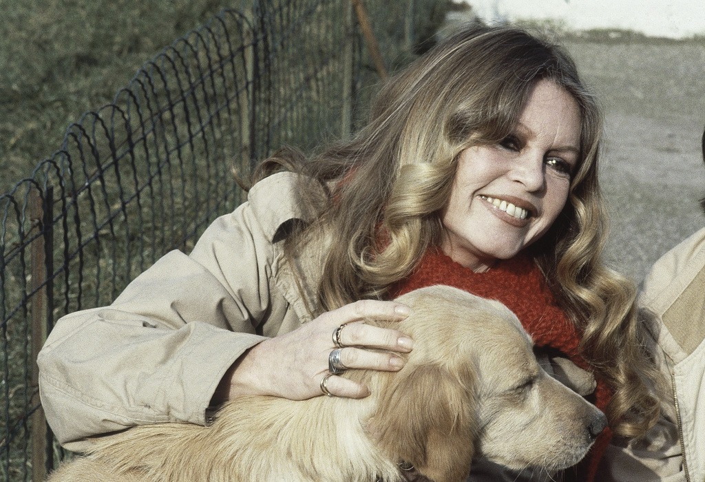 FILE - French Actress Brigitte Bardot with a dog in the Gennevilliers, Paris, while supporting the French animal protection society operation, Feb. 10, 1982. (AP Photo/Duclos, File)