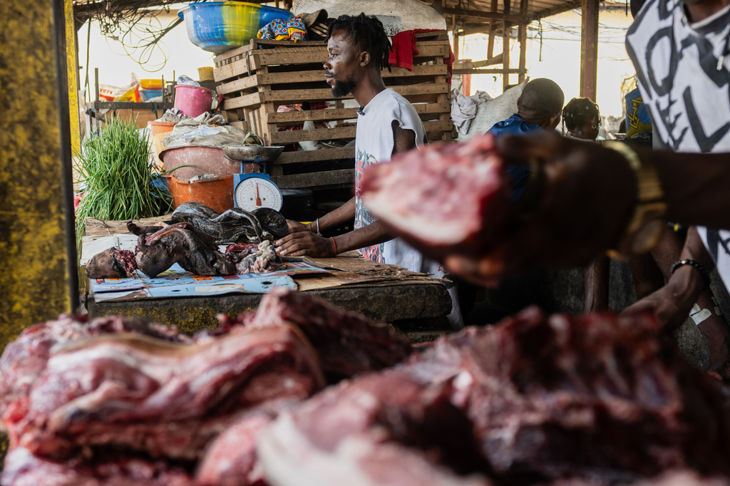Guyva Mputu, a vendor at the Masina market, displays bushmeat for sale in Kinshasa, Congo, Thursday, April 9, 2026. (AP Photo/Samy Ntumba Shambuyi)
