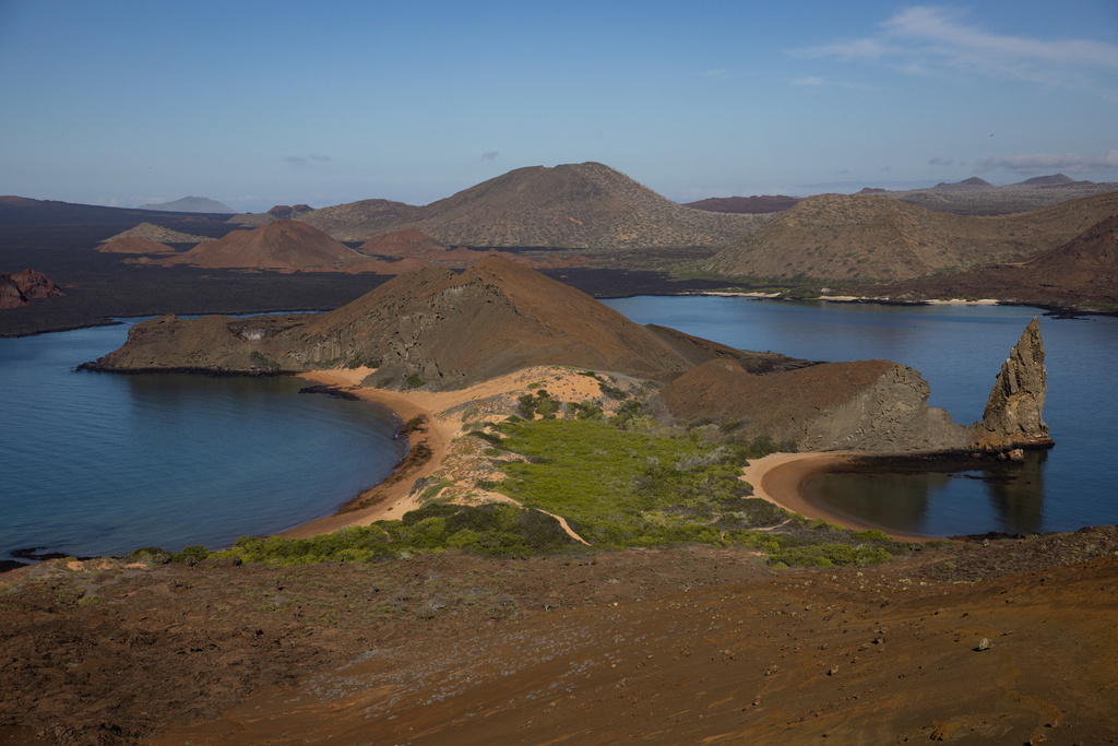 FILE - Saltwater succulents grow by the water on Bartolome Island, Ecuador in the Galapagos on June 7, 2024. (AP Photo/Alie Skowronski, File)
