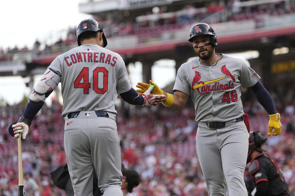 St. Louis Cardinals designated hitter Iván Herrera (48) celebrates with Willson Contreras (40) after hitting a solo home run during the first inning of a baseball game against the Cincinnati Reds Friday, Aug. 29, 2025, in Cincinnati. (AP Photo/Carolyn Kaster)