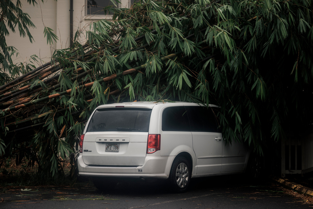 A downed tree rests on a vehicle due to the passing of Hurricane Lala in Hilo, Hawaii, Sunday, Aug. 16, 2026. (Stephen Lam/San Francisco Chronicle via AP)