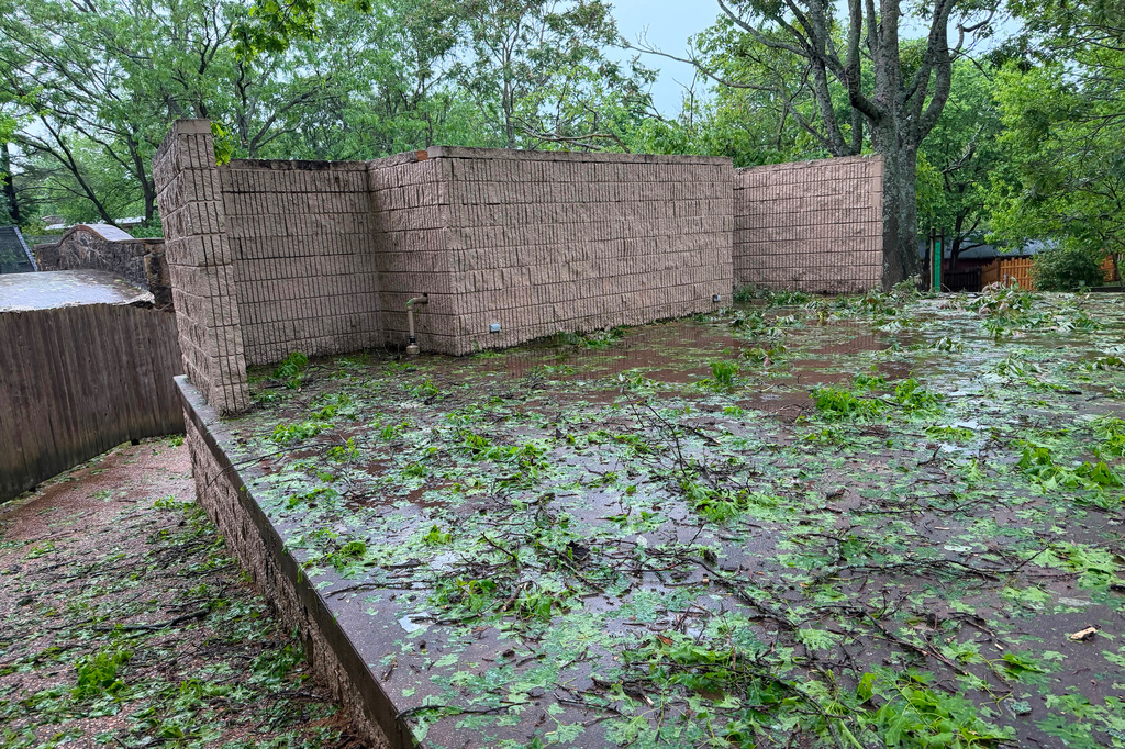 This photo provided by Dickerson Park Zoo shows hail damage sustained by the zoo Tuesday, April 28, 2026, in Springfield, Mo. (Dickerson Park Zoo via AP)