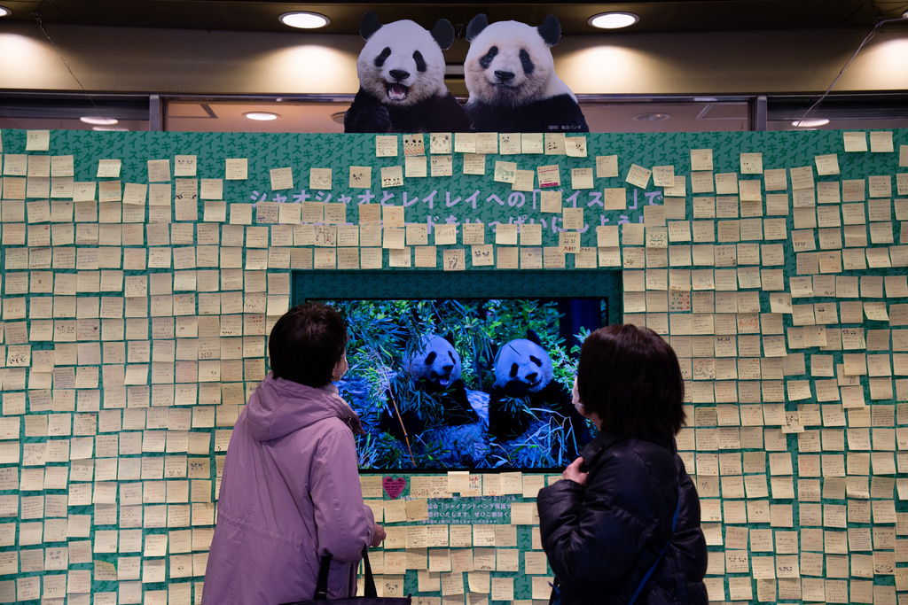 Visitors look at farewell messages for Japan's last remaining pandas, Lei Lei and Xiao Xiao, at a shopping mall near Ueno Zoo in Tokyo, Thursday, Jan. 22, 2026. (AP Photo/Louise Delmotte)