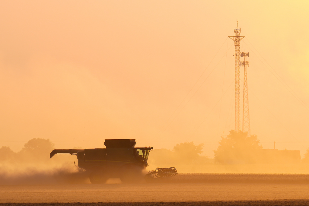 Soybeans are harvested on the Warpup Farm in Warren, Ind., Wednesday, Sept. 17, 2025. (AP Photo/Michael Conroy)
