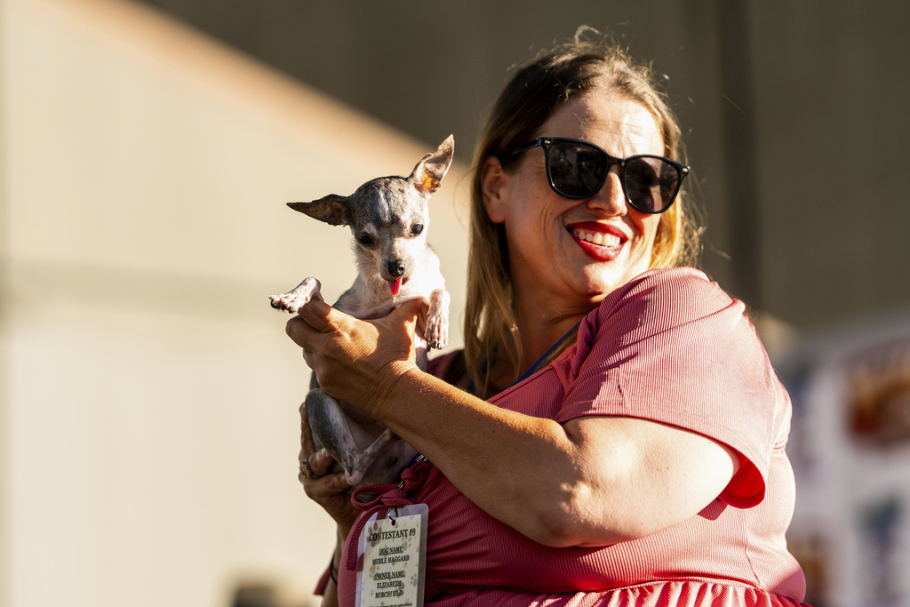 A dog named Merle Haggard competes in the World's Ugliest Dog Contest at the Sonoma County Fair in Santa Rosa, Calif., on Friday, Aug. 8, 2025. (AP Photo/Noah Berger)