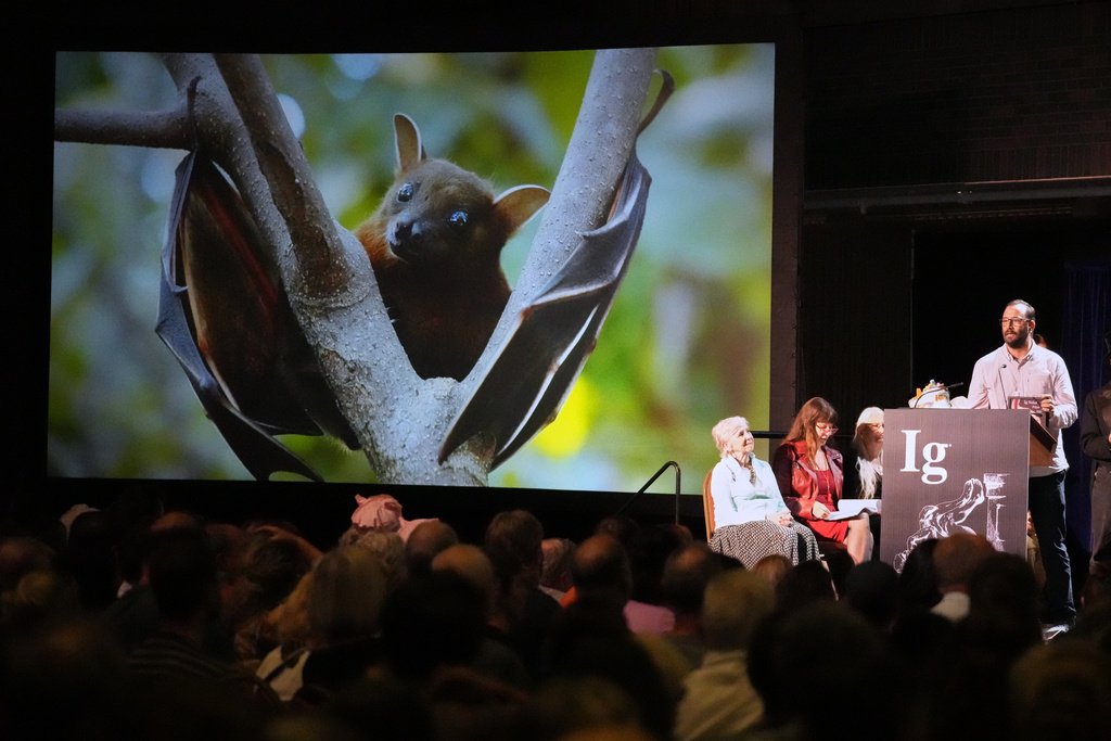 The Ig Nobel Prize for aviation is accepted by Francisco Sanchez for studying whether ingesting alcohol can impair bats' ability to fly, Thursday, Sept. 18, 2025, in Boston. (AP Photo/Robert F. Bukaty)