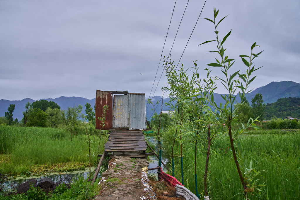 A door made of tin sheets stands on a wooden footbridge connecting the interior of Dal Lake to the shore in Srinagar, Indian controlled Kashmir, Monday, May 4, 2026. (AP Photo/Dar Yasin)