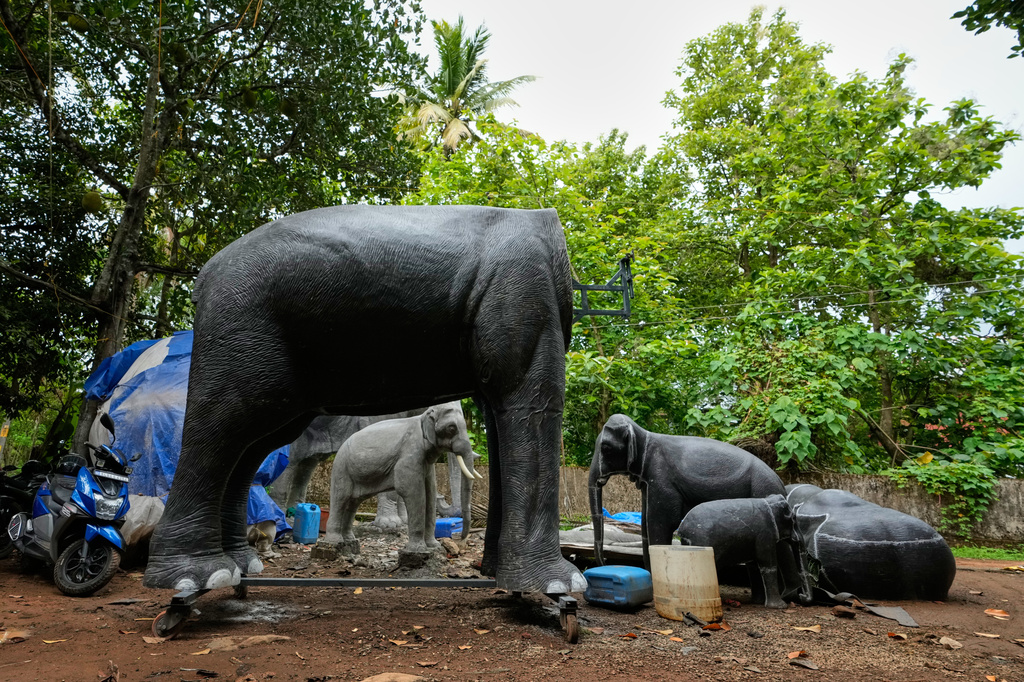 An unfinished robotic elephant stands alongside others at a backyard workshop in Chalakudy, in the southern Indian state of Kerala, Friday, May 22, 2026. (AP Photo/Aijaz Rahi)