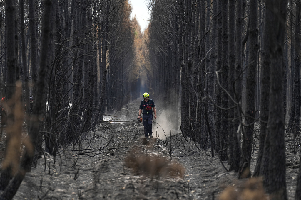 A firefighter walks through a charred forest near Blagon, during wildfires, southwestern France, Friday, July 31, 2026. (AP Photo/Baz Ratner)