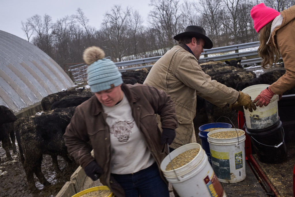 Blakeley Pyles, right, hands her parents, Josh, rear, and Ashley Pyles buckets of feed from the bed of a truck on their farm in Henry County, Ky., Saturday, Dec. 13, 2025. (AP Photo/Michael Swensen)