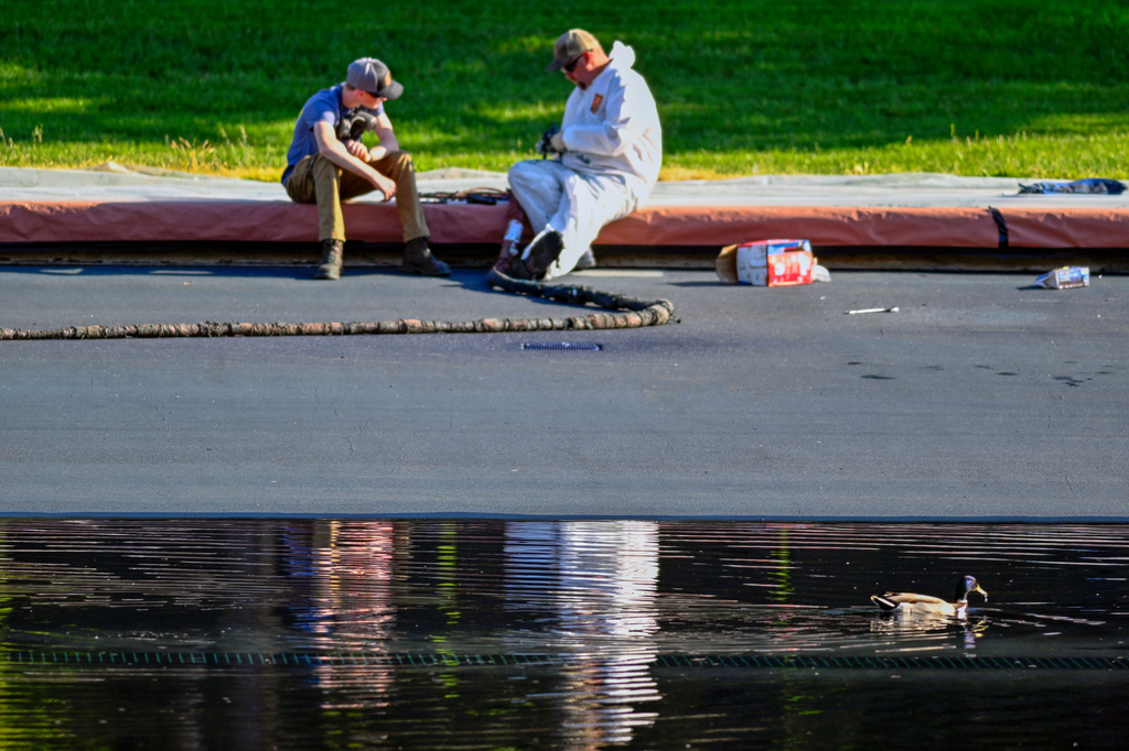A duck swims by workers in the Lincoln Memorial Reflecting Pool which is being refilled after months of repairs, on Friday, June 5, 2026, in Washington. (AP Photo/John McDonnell