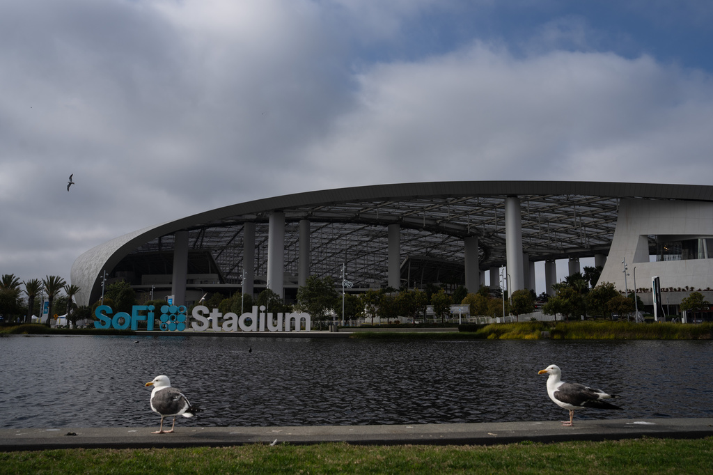 Seagulls rest by the lake outside SoFi Stadium in Inglewood, Calif., May 8, 2026. (AP Photo/Jae C. Hong)