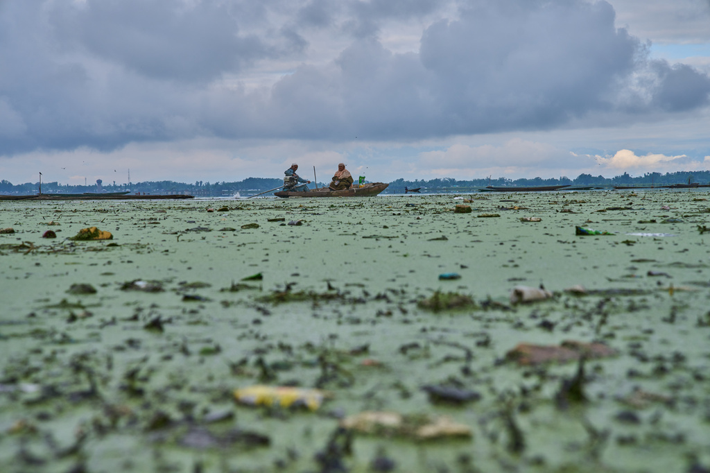 A couple on their way to work row a shikara, a traditional boat, through algae and trash-filled waters of Wular Lake in Bandipora, northeast of Srinagar, Indian controlled Kashmir, Tuesday, May 5, 2026. (AP Photo/Dar Yasin)