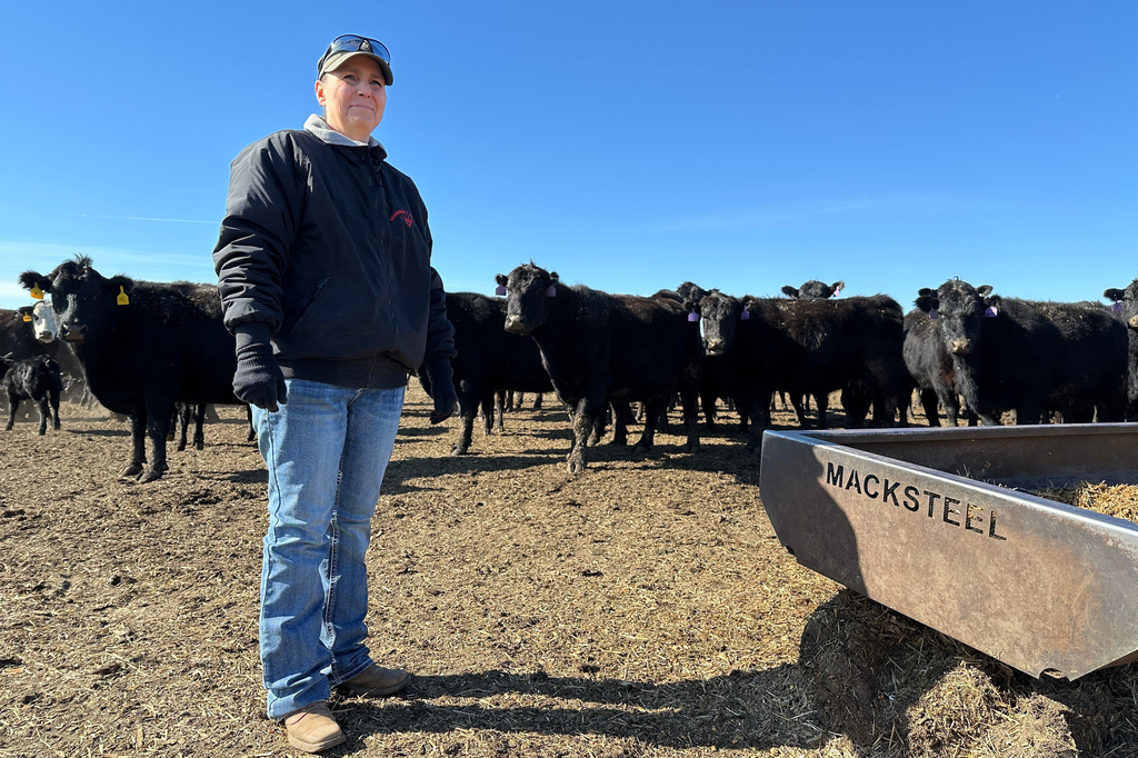Stephanie Hatzenbuhler stands with her cows on March 31, 2026, on her family's Diamond J Angus Ranch near Mandan, N.D. (AP Photo/Jack Dura)