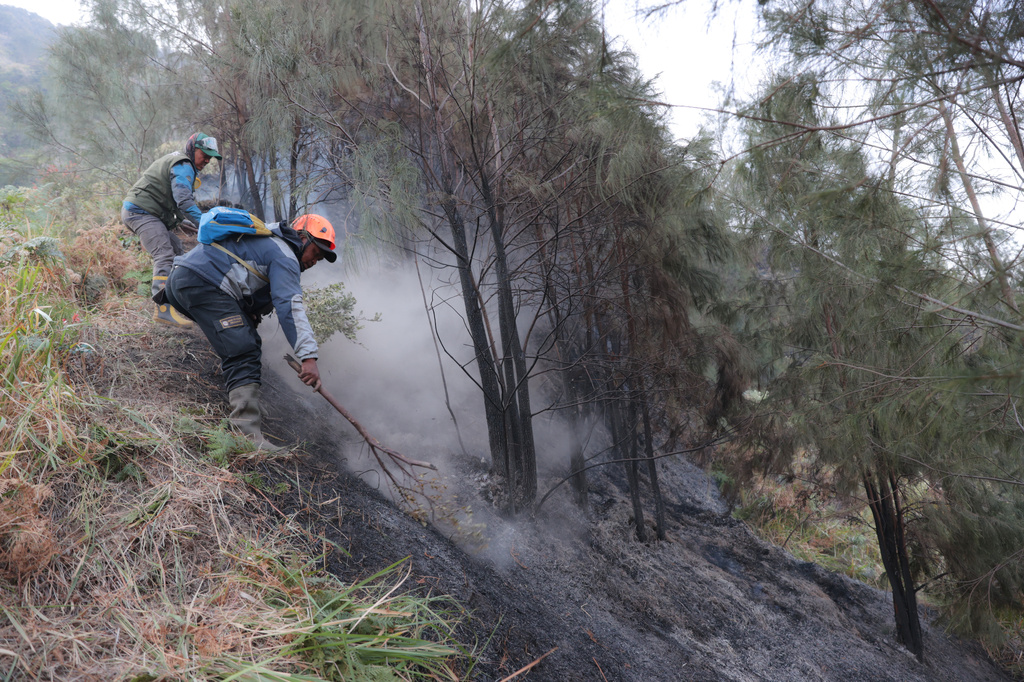 Firefighters attempt to extinguish wildfire that razes through vegetation near Mount Bromo in Bromo Tengger Semeru National Park in Probolinggo, East Java, Indonesia, Monday, Aug. 10, 2026. (AP Photo/Trisnadi)