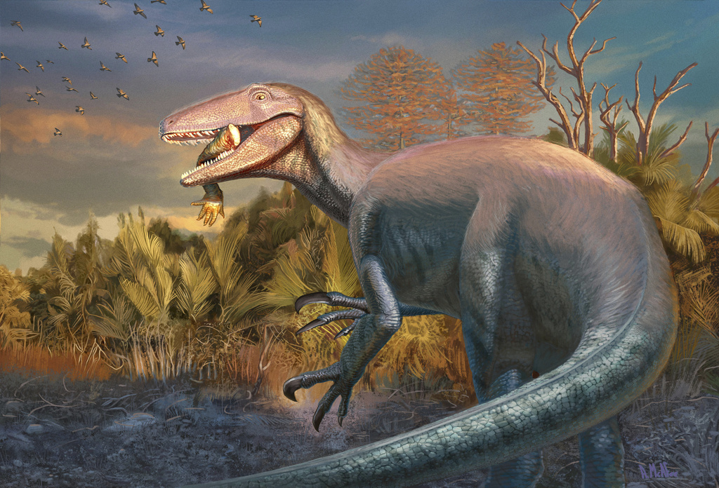 This image shows an artist's illustration of the newly discovered dinosaur Joaquinraptor casali with an ancient crocodile relative's front leg in its mouth. (Andrew McAfee, Carnegie Museum of Natural History via AP)