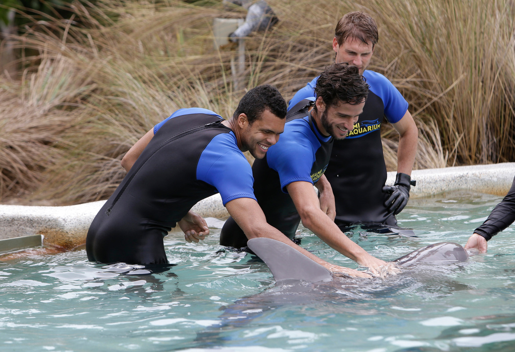 FILE - Tennis players Jo-Wilfried Tsonga of France, left, Feliciano Lopez of Spain, center, and Andreas Seppi of Italy, right, touch a dolphin during a photo opportunity, March 19, 2013, at Miami Seaquarium in Key Biscayne, Fla. (AP Photo/Lynne Sladky, file)