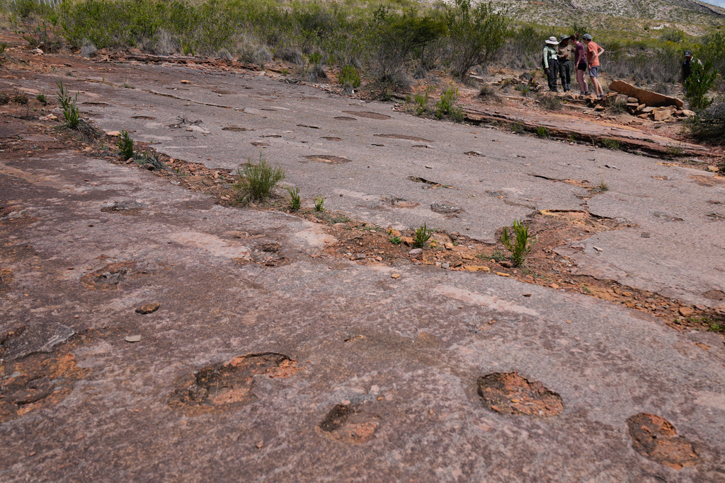 Tourists look at the petrified footprints of dinosaurs at Carreras Pampa in Toro Toro National Park, north of Potosi, Bolivia, Saturday, Dec. 6, 2025. (AP Photo/Juan Karita)