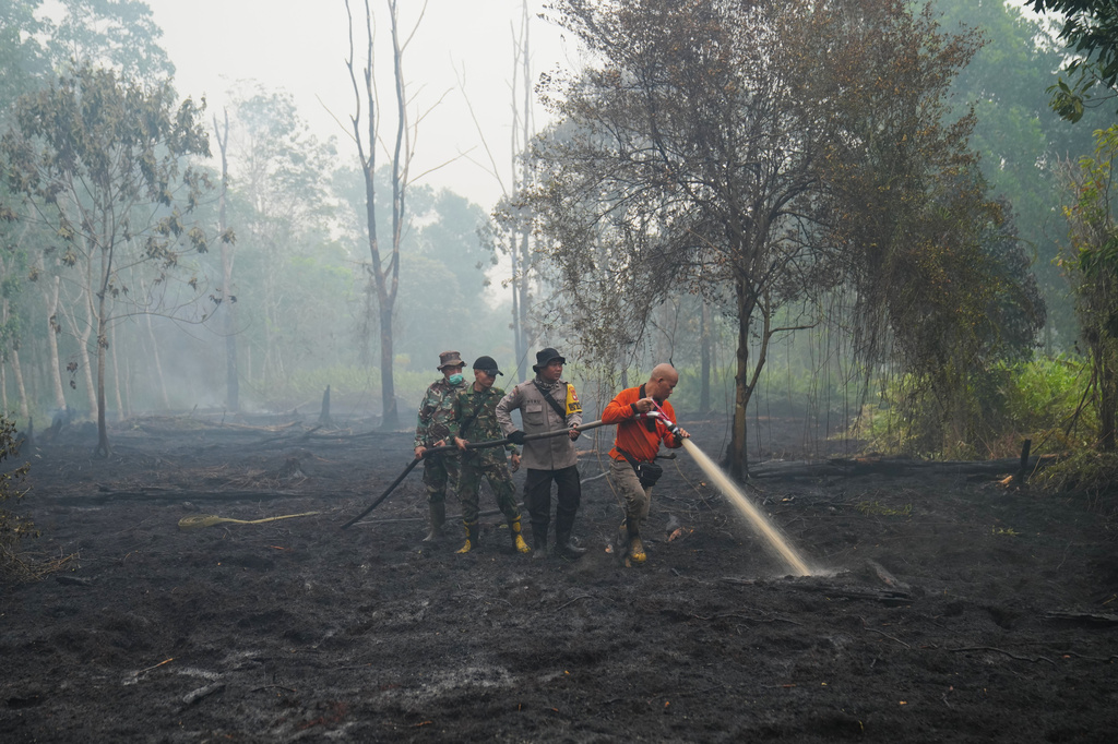 FILE - Firefighters spray water to put out wildfires burning through peatland forest in Kubu Raya, West Kalimantan, Indonesia, Sept. 12, 2026. (AP Photo/Tatan Syuflana, File)
