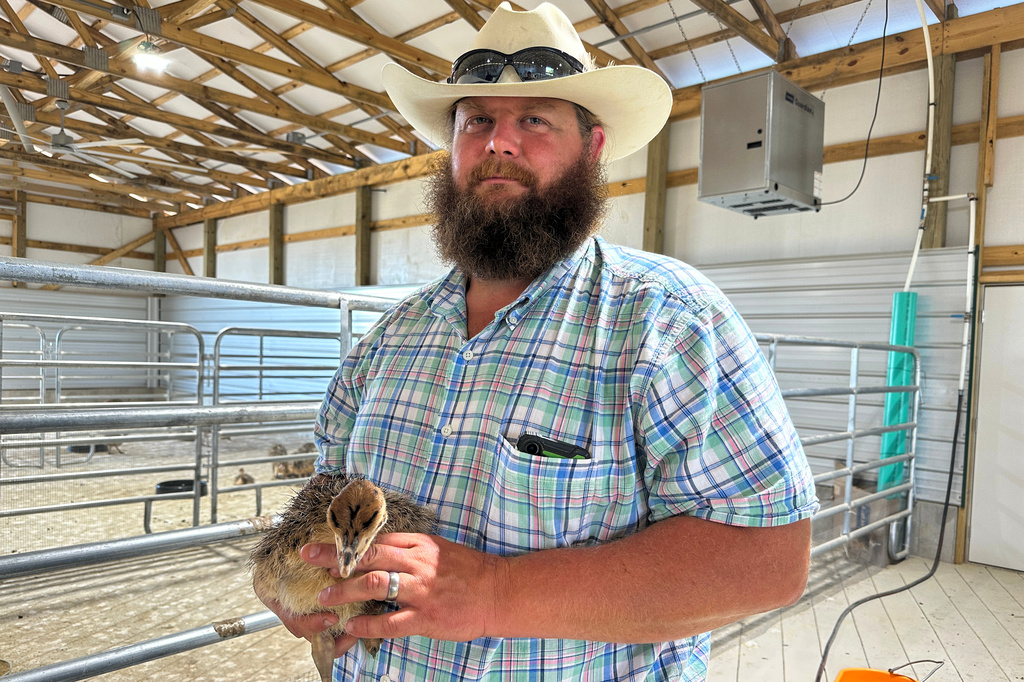 In this photo taken with a smartphone, Alpha Roost Farms owner W.D. King holds a young ostrich in Danville, Ky., on Tuesday, Aug. 18, 2026. (AP Photo/Dylan Lovan)