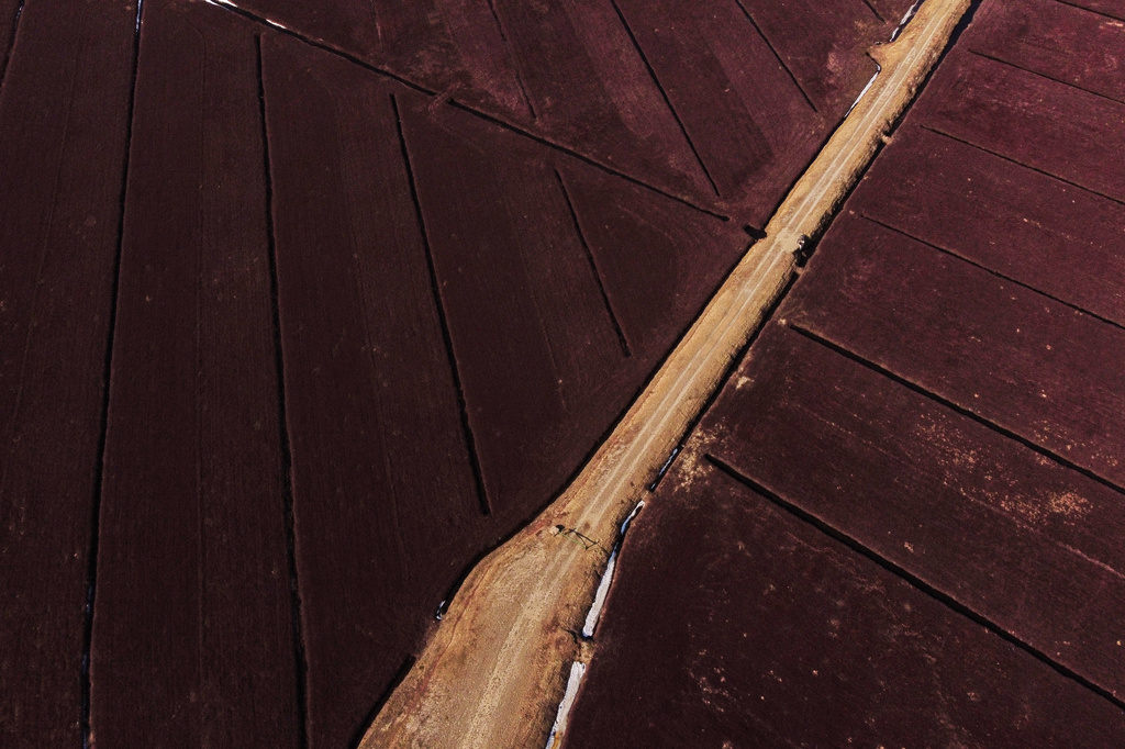 A cranberry bog is visible as cranberry vines are dormant during the offseason Sunday, March 15, 2026, in Wareham, Mass. (Jamie Jiang/MIT Graduate Program in Science Writing via AP)