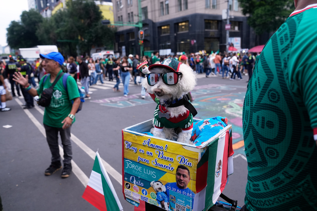 A dog named Osito wears a Mexico national team jersey and rides in a bicycle basket of Jorge Rangel before a World Cup Group A soccer match against South Korea in Mexico City, Thursday, June 18, 2026. (AP Photo/Marco Ugarte)