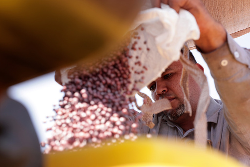 FILE - A farm worker fills a seeder with soy seeds at the Morada do Sol farm in Santa Cruz do Rio Pardo, Sao Paulo state, Brazil, Oct. 15, 2025. (AP Photo/Ettore Chiereguini, File) FILE - A farm worker fills a seeder with soy seeds at the Morada do Sol farm in Santa Cruz do Rio Pardo, Sao Paulo state, Brazil, Oct. 15, 2025. (AP Photo/Ettore Chiereguini, File)