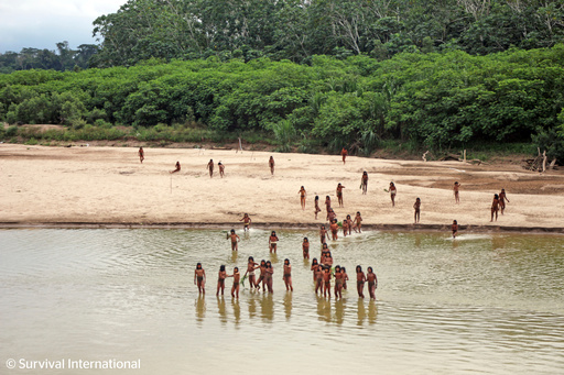 FILE - This June 2024 photo provided by Survival International shows members of the Mashco Piro along Las Piedras River in the Amazon near the community of Monte Salvado, in Madre de Dios province, Peru. (Survival International via AP, File) FILE - This June 2024 photo provided by Survival International shows members of the Mashco Piro along Las Piedras River in the Amazon near the community of Monte Salvado, in Madre de Dios province, Peru. (Survival International via AP, File)