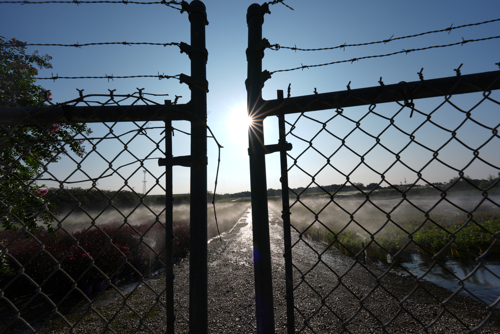 Irrigation sprinklers water rows of flowers and plants inside a nursery in Apopka, Fla., where migrants often find work in the agricultural sector, Thursday, Aug. 21, 2025. (AP Photo/Rebecca Blackwell)