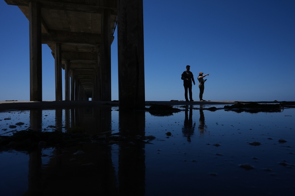 Marine ornithologist Tammy Russell, right, and Alex Rubenstein search for dead seabirds under Scripps Pier during a survey Wednesday, May 6, 2026, in San Diego. (AP Photo/Gregory Bull)