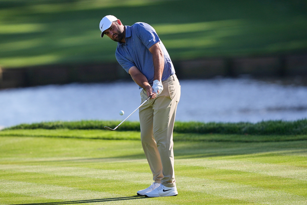 Scottie Scheffler chips onto the 11th green during the second round of The Players Championship golf tournament Friday, March 13, 2026, in Ponte Vedra Beach, Fla. (AP Photo/Gerald Herbert)