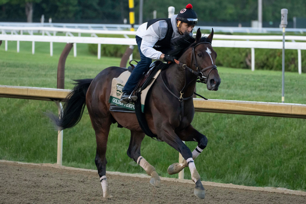 Kentucky Derby winner and Belmont Stakes entrant Golden Tempo works out ahead of the 158th running of the Belmont Stakes horse race at Saratoga Race Course, Friday, June 5, 2026, in Saratoga Springs, N.Y. (AP Photo/Yuki Iwamura)