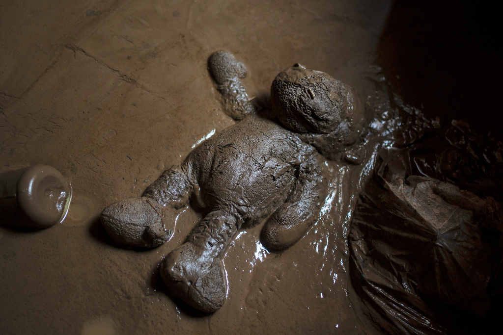 A plush toy lies in the mud inside a flooded house in Poza Rica, Veracruz state, Mexico, Monday, Oct. 13, 2025, after torrential rains. (AP Photo/Felix Marquez)