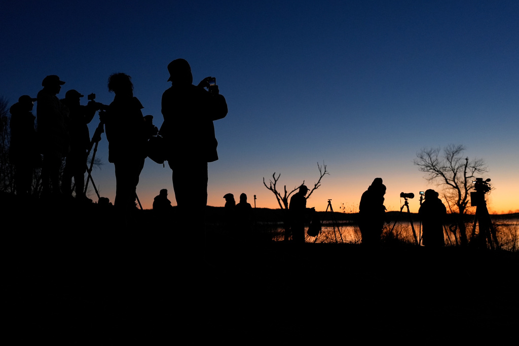 Early-rising birders await sunrise at Middle Creek Wildlife Management Area, Monday, March 9, 2026, in Kleinfeltersville, Pa. (AP Photo/Robert F. Bukaty)